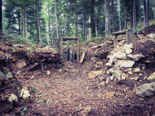 Nahaufnahmen des brachliegenden Zugangs in das Grabensystem am "Kullinski Platz". Hier wird später der "Bös Blick", die "Franke Schanze", der Zugang zur "Cirkel Höhle" und der Beginn des "Oßwald Grabens" zu sehen sein.
