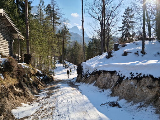 Über den Schrecksteig durch den Wald geht es mäßig steil hinauf Richtung Schrecksattel.