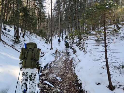 Die Waldwege sind teilweise nur spärlich mit Schnee bedeckt und die Skier müssen oft abgenommen und getragen werden.