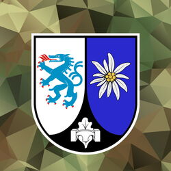 Wappen des Pionierbataillon 905 aus Ingolstadt Wappen des Pionierbataillon 905 aus Ingolstadt