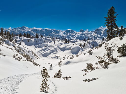 Verschneite Winterlandschaft auf der Reiteralpe