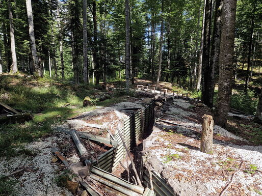 Wurzelwerk und Baumstämme haben die Wände der Laufwege zusammengedrückt und komplett zerstört.